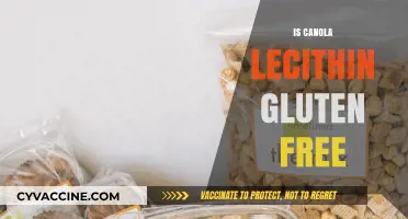 Exploring the Gluten-Free Status of Canola Lecithin: A Comprehensive Guide