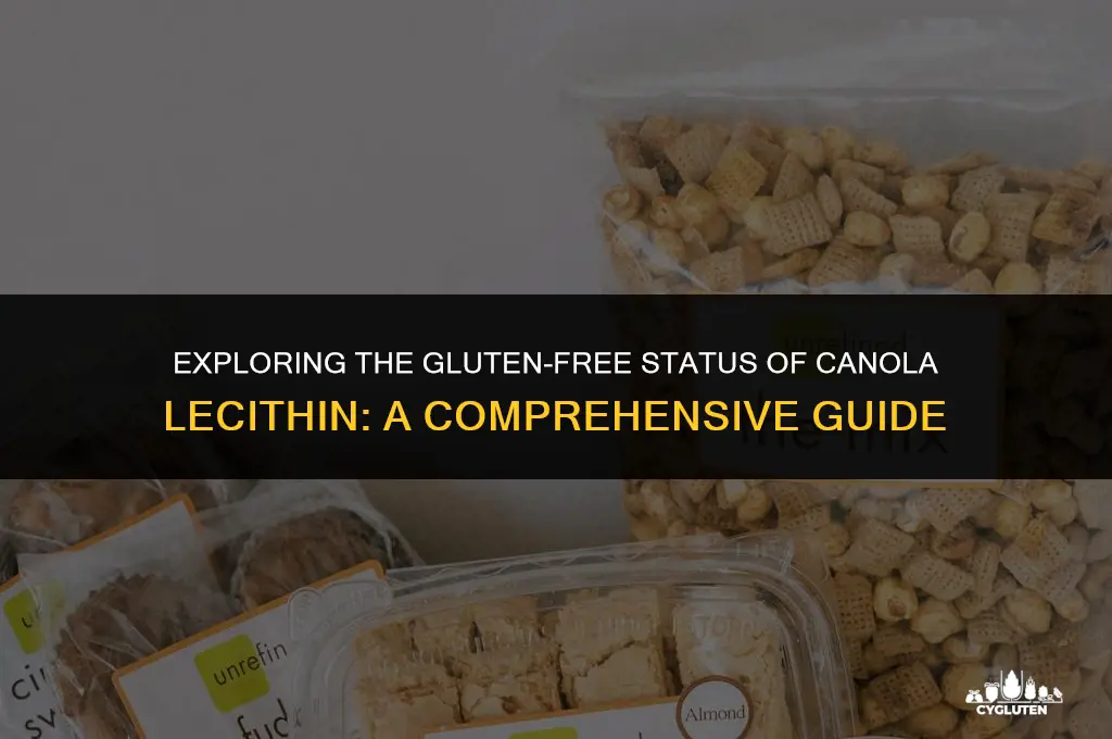 is canola lecithin gluten free