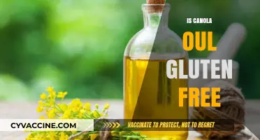 Exploring the Truth: Is Canola Oil Really Gluten-Free?