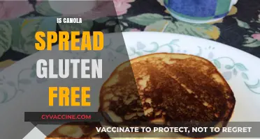 Exploring Gluten-Free Options: The Truth About Canola Spread