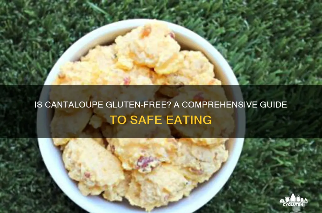 is cantaloupe gluten free