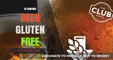Exploring Gluten-Free Options: Is Cantina Beer Safe for Celiacs?