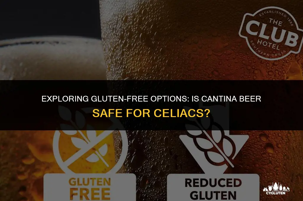is cantina beer gluten free