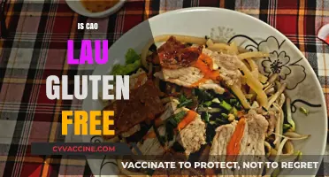 Exploring Traditional Vietnamese Cuisine: Is Cao Lau Gluten-Free?