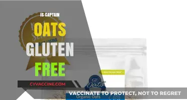 Exploring Gluten-Free Options: Is Captain Oats Safe for Celiacs?