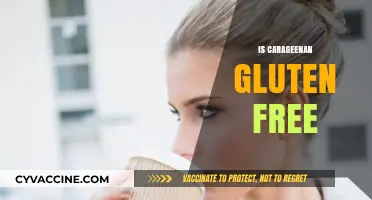 Is Carrageenan Gluten-Free? Unraveling the Truth for Your Diet