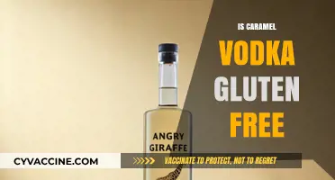 Savoring Smoothness: Is Caramel Vodka a Gluten-Free Delight?