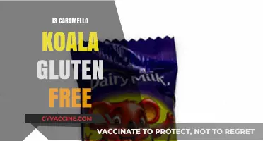 Delving into the World of Gluten-Free Caramello Koalas