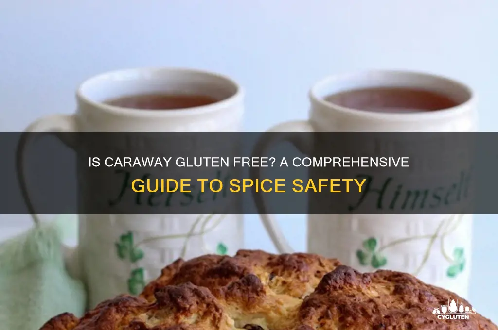 is caraway gluten free