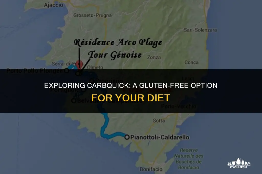 is carb quick gluten free