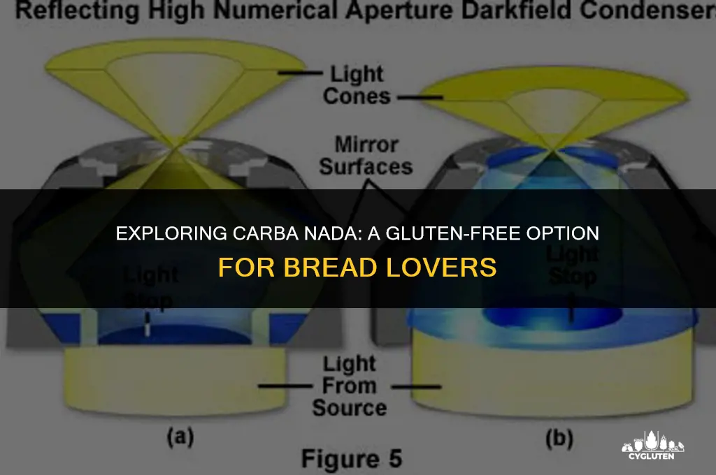 is carba nada gluten free