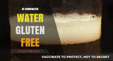 Fizzing with Facts: Unveiling the Gluten-Free Truth About Carbonated Water