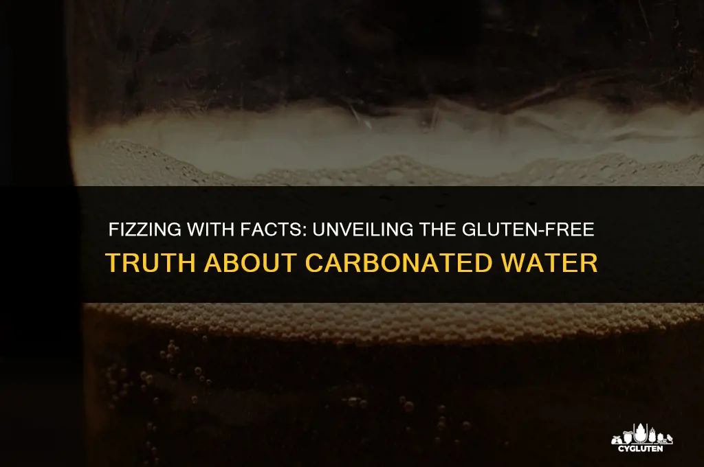 is carbonated water gluten free