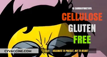 Exploring Carboxymethyl Cellulose: A Gluten-Free Thickener Alternative