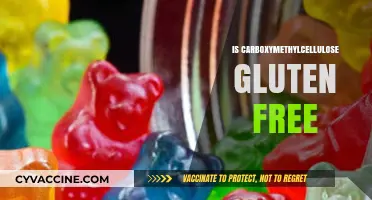 Is Carboxymethylcellulose Gluten-Free? Unraveling the Food Additive Mystery