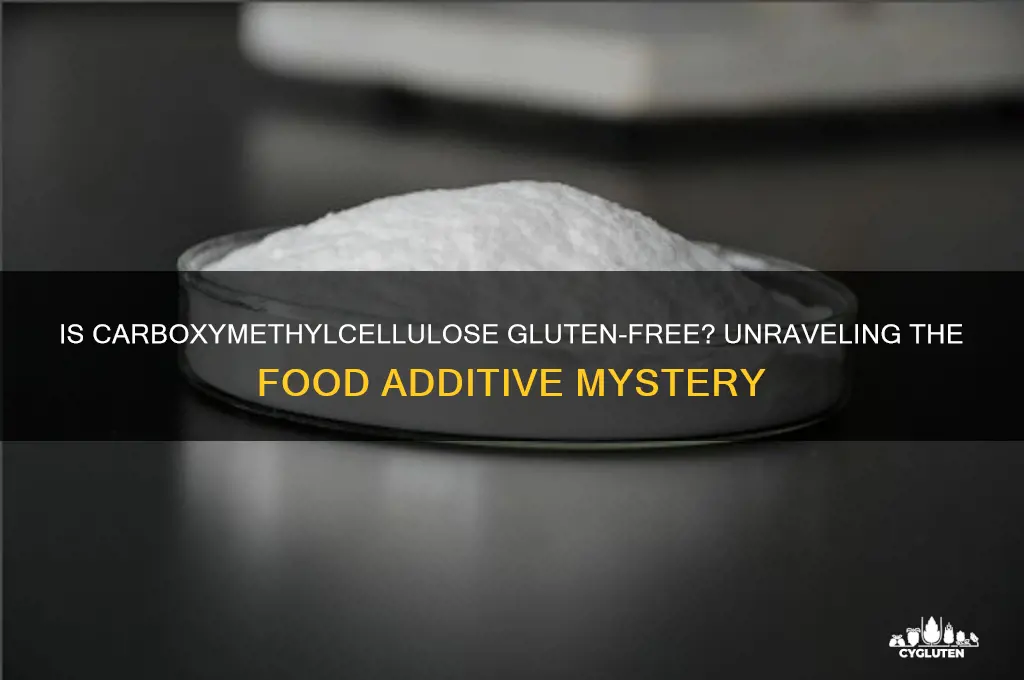is carboxymethylcellulose gluten free