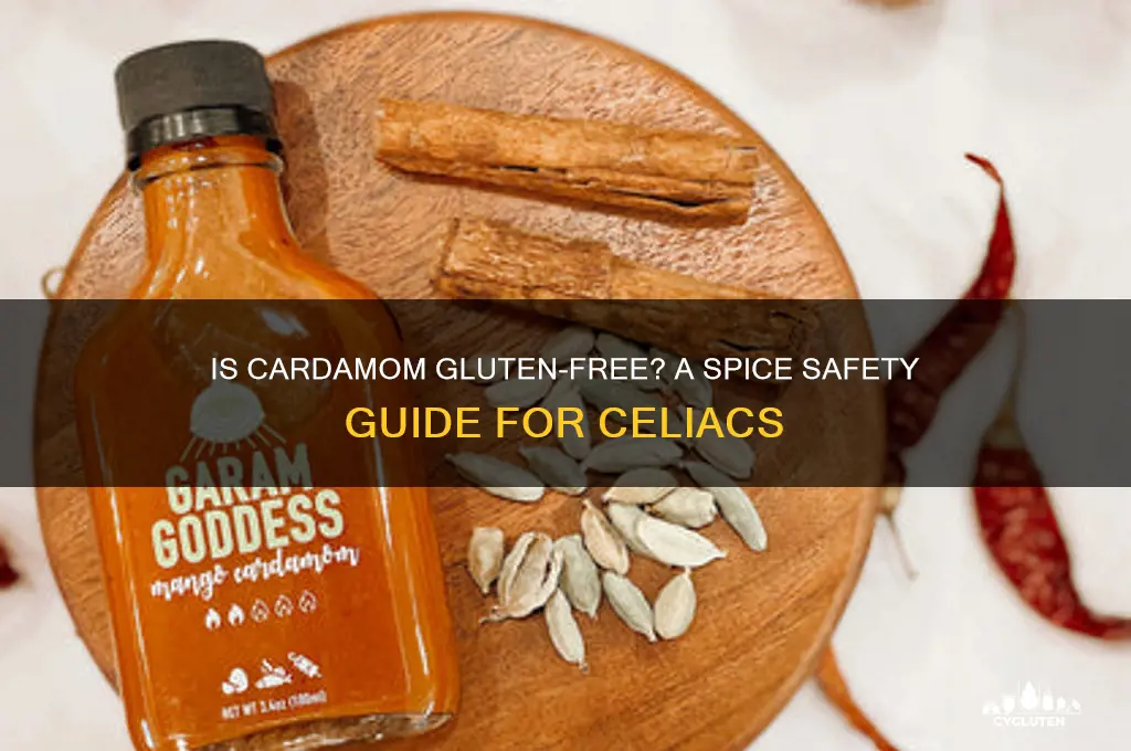 is cardamom gluten free