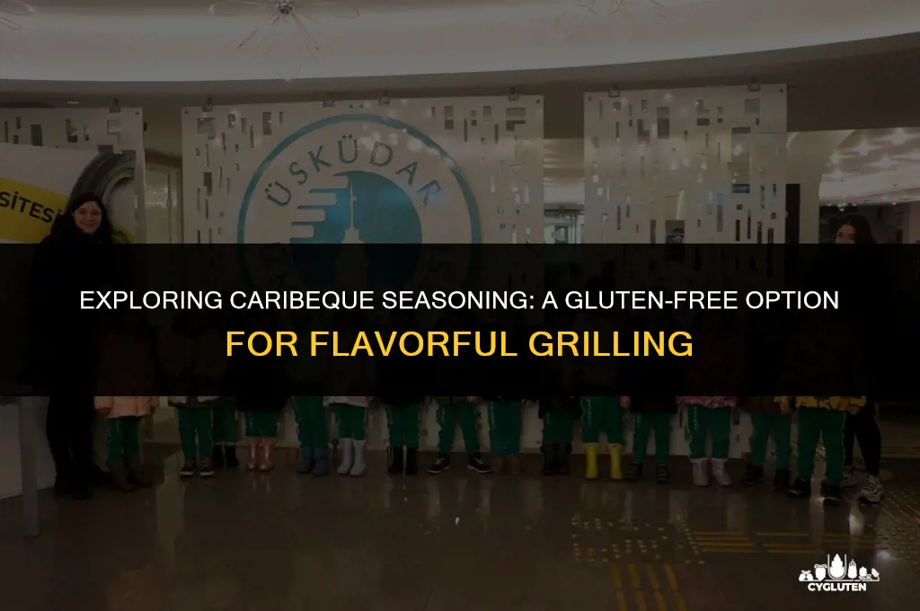 is caribeque seasoning gluten free