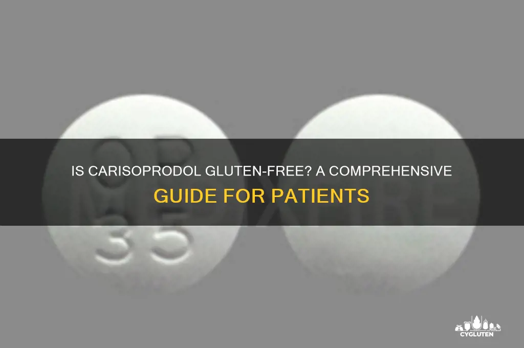 is carisoprodol gluten free