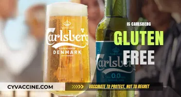 Is Carlsberg Gluten-Free? Exploring the Beer's Ingredients and Options