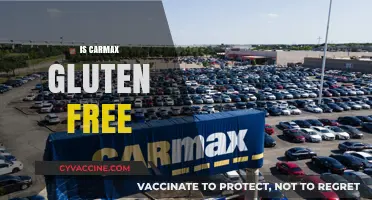 Is Carmax Gluten-Free? Unraveling the Ingredients for Safe Use