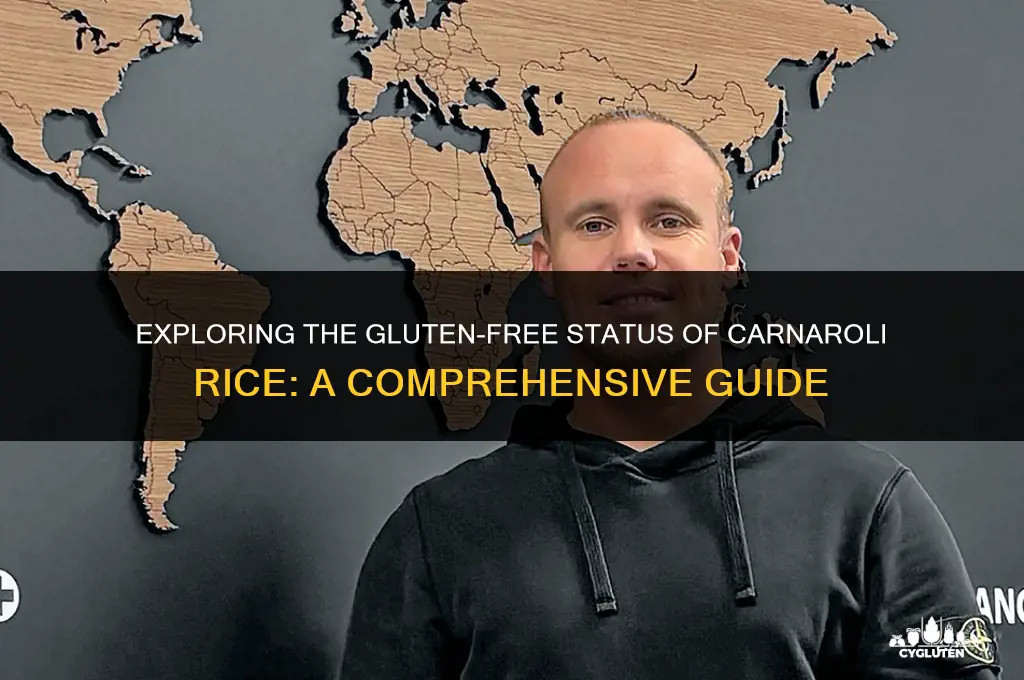 is carnaroli rice gluten free