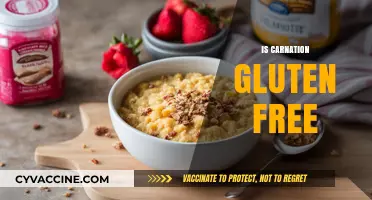 Is Carnation Gluten-Free? A Comprehensive Guide to Your Dietary Needs