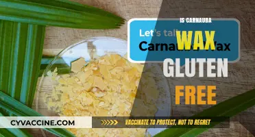 Is Carnauba Wax Gluten-Free? A Comprehensive Guide for Consumers