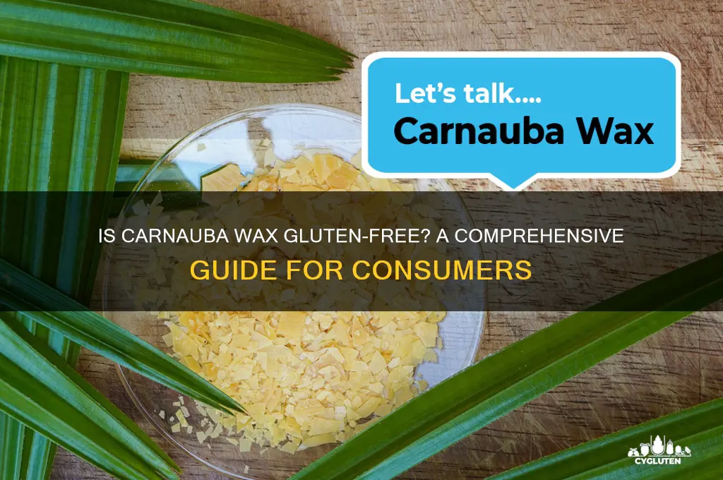 is carnauba wax gluten free