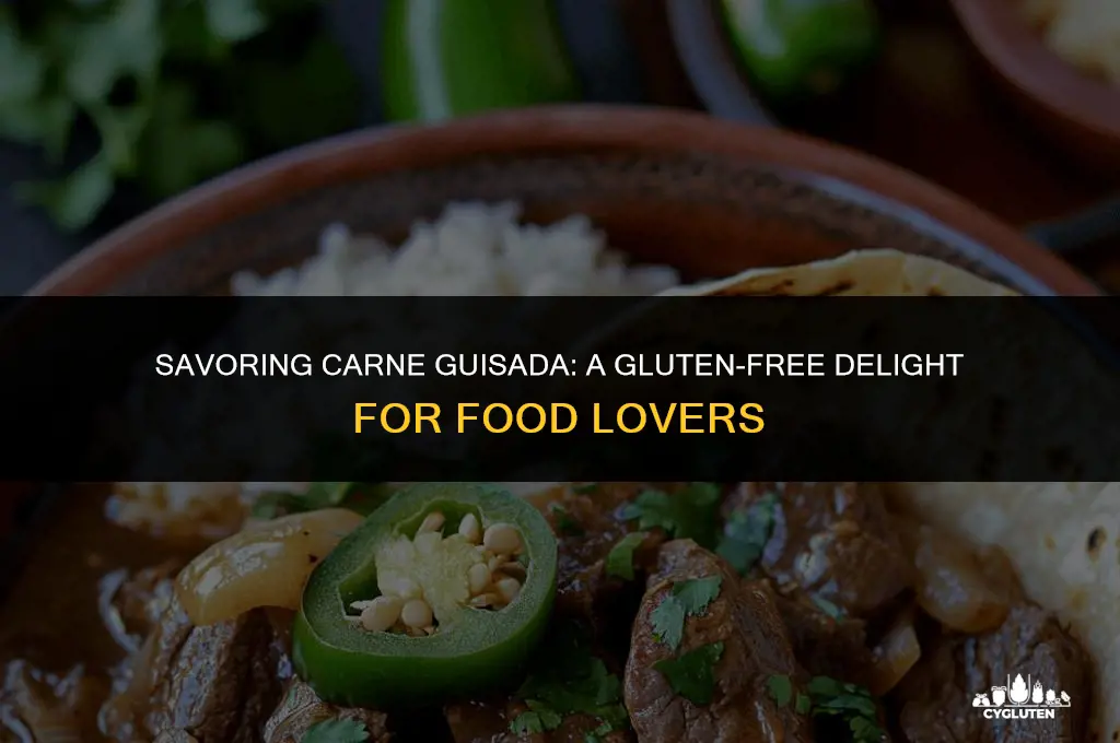 is carne guisada gluten free