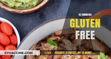 Is Carnitas Gluten Free? A Complete Guide to Safe Eating