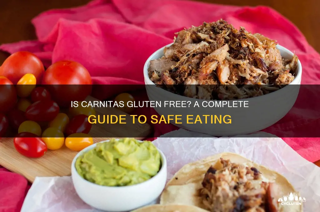 is carnitas gluten free