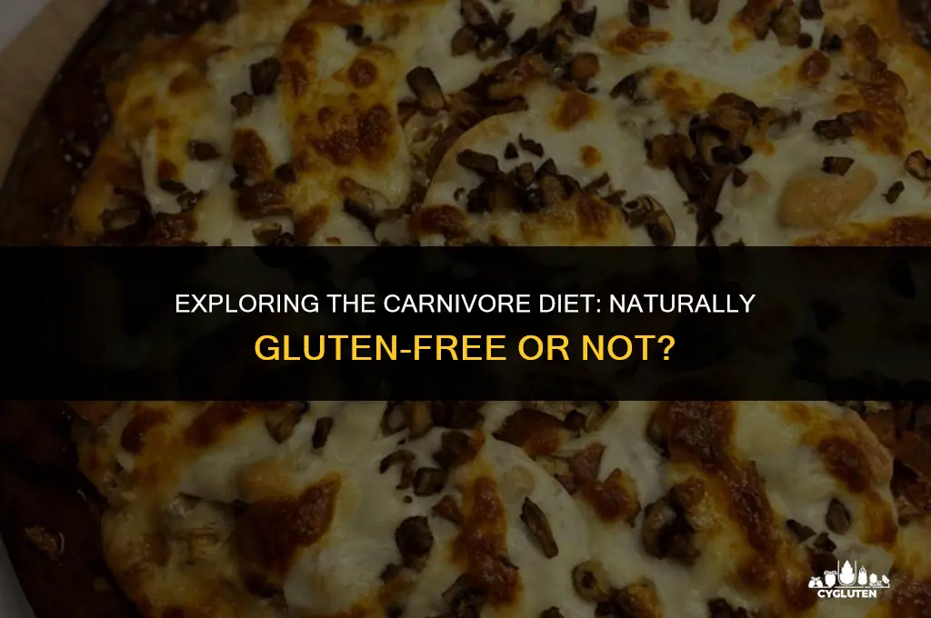 is carnivore diet gluten free