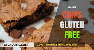 Delving into the World of Carob Chips: A Gluten-Free Delight?