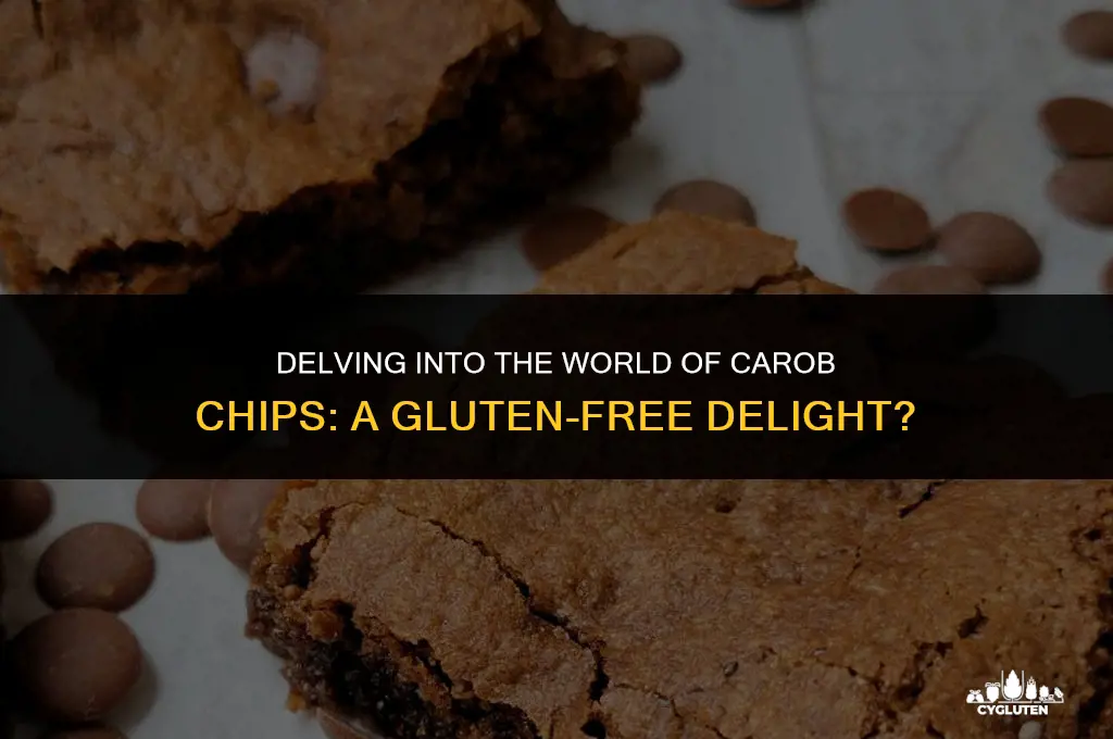 is carob chips gluten free
