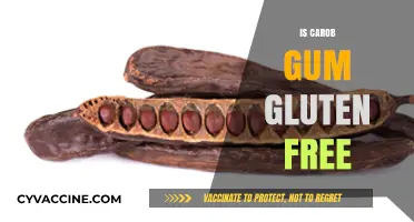 Exploring Carob Gum: A Gluten-Free Alternative for Health-Conscious Diets