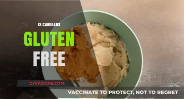 Is Carolans Gluten-Free? Uncovering the Truth About This Irish Cream
