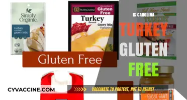 Exploring Gluten-Free Options: Carolina Turkey's Dietary Delight