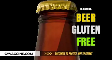 Exploring Gluten-Free Options: Is Corona Beer Safe for Celiacs?