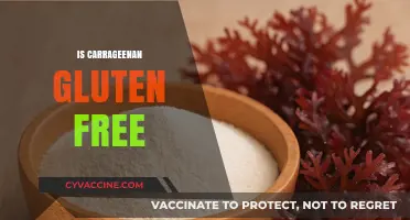 Is Carrageenan Gluten Free? Unraveling the Truth for Your Diet