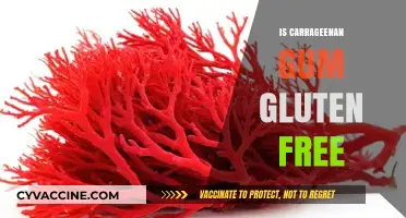 Unraveling the Mystery: Is Carrageenan Gum Gluten-Free?