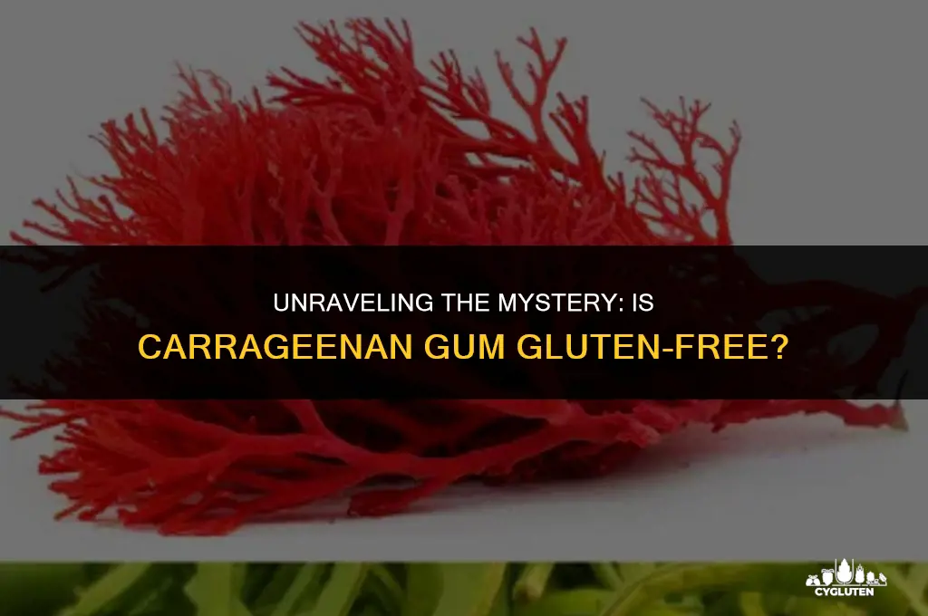 is carrageenan gum gluten free