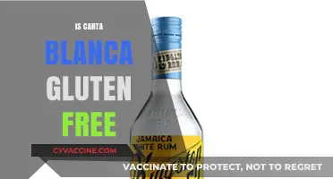 Exploring Gluten-Free Options: Is Carta Blanca Safe for Celiacs?