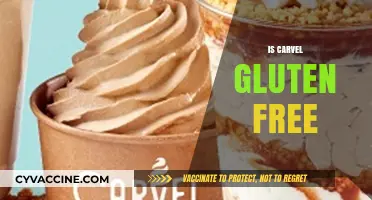 Is Carvel Gluten-Free? Exploring Ice Cream Options for Celiac Diets