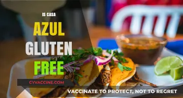 Exploring Casa Azul: A Gluten-Free Haven or Not?