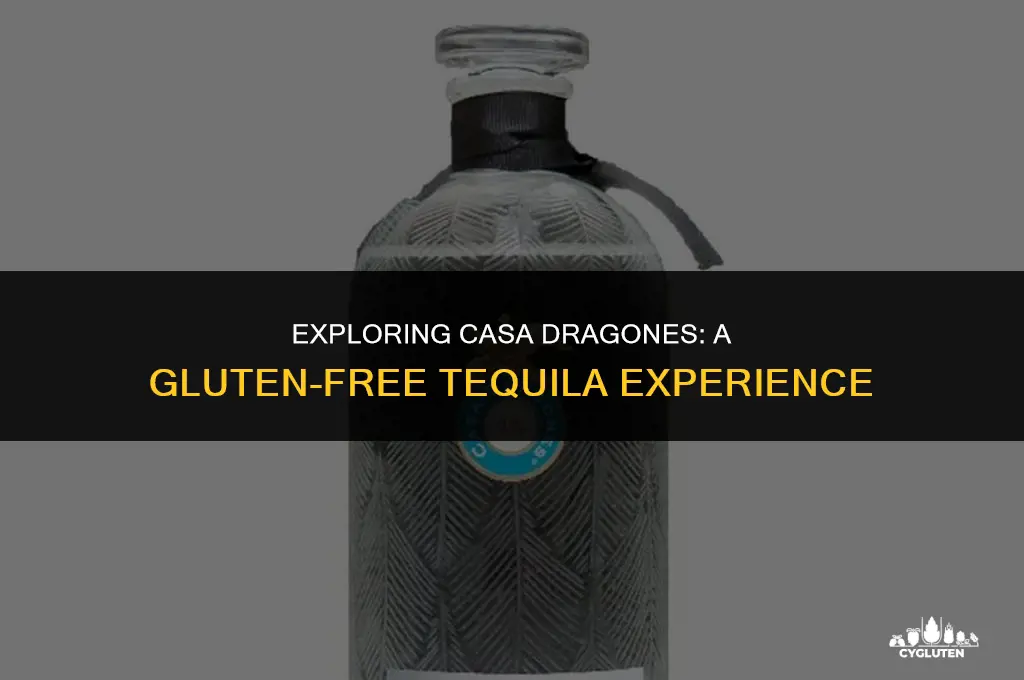 is casa dragones gluten free