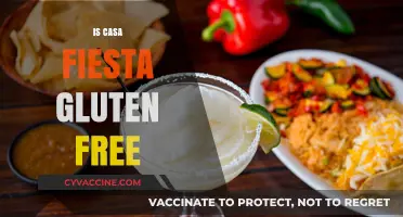 Exploring Casa Fiesta: A Gluten-Free Haven or Not?
