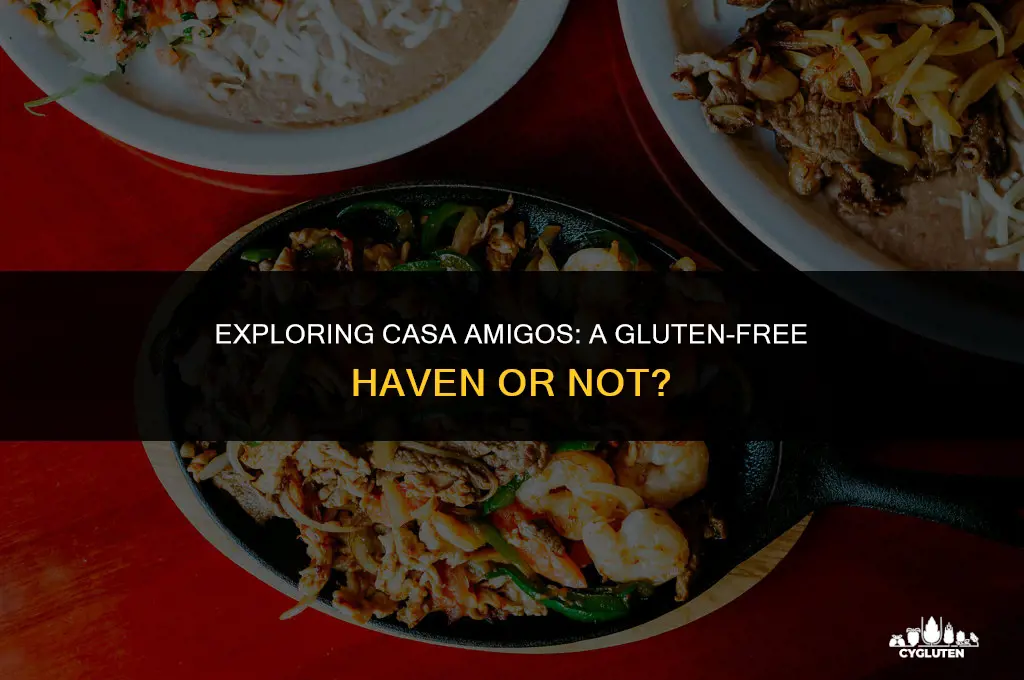 is casa migos gluten free