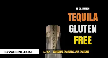 Sipping Safely: Is Casamigo Tequila Gluten-Free?
