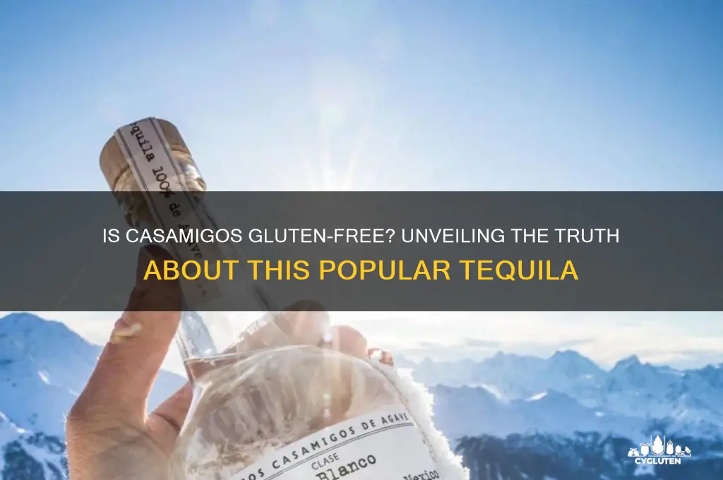 is casamigos gluten free